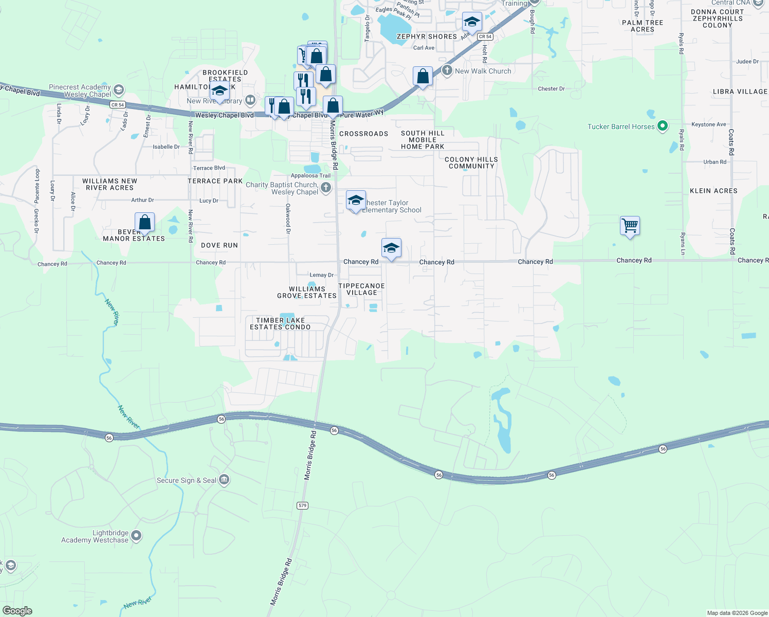 map of restaurants, bars, coffee shops, grocery stores, and more near 3232 Carnation Lane in Zephyrhills