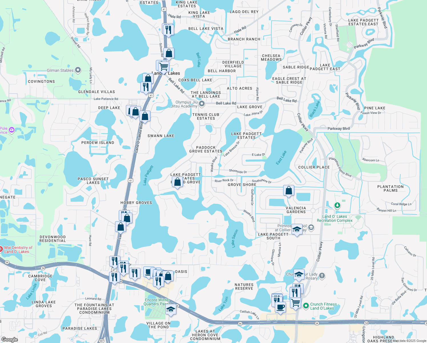 map of restaurants, bars, coffee shops, grocery stores, and more near 22116 Shoreside Drive in Land O' Lakes