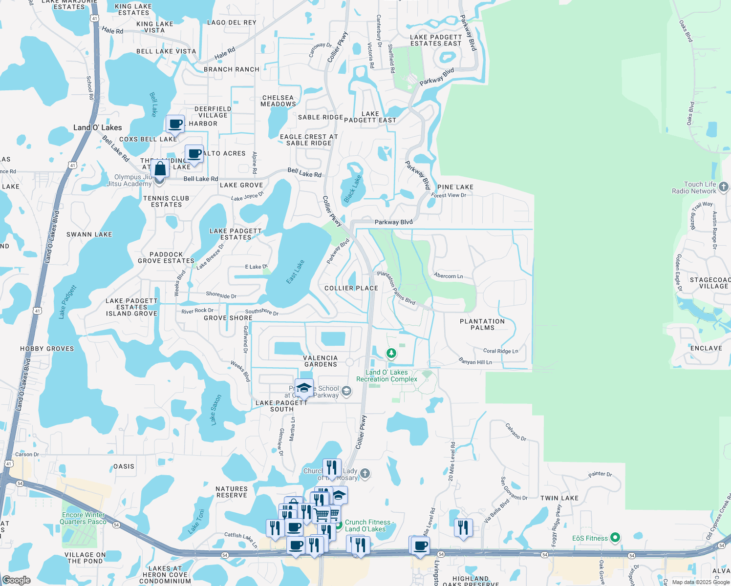 map of restaurants, bars, coffee shops, grocery stores, and more near 3350 Pendleton Way in Land O' Lakes