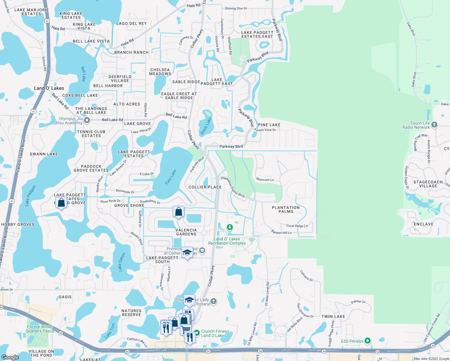 map of restaurants, bars, coffee shops, grocery stores, and more near 3435 Coconut Grove Road in Land O' Lakes