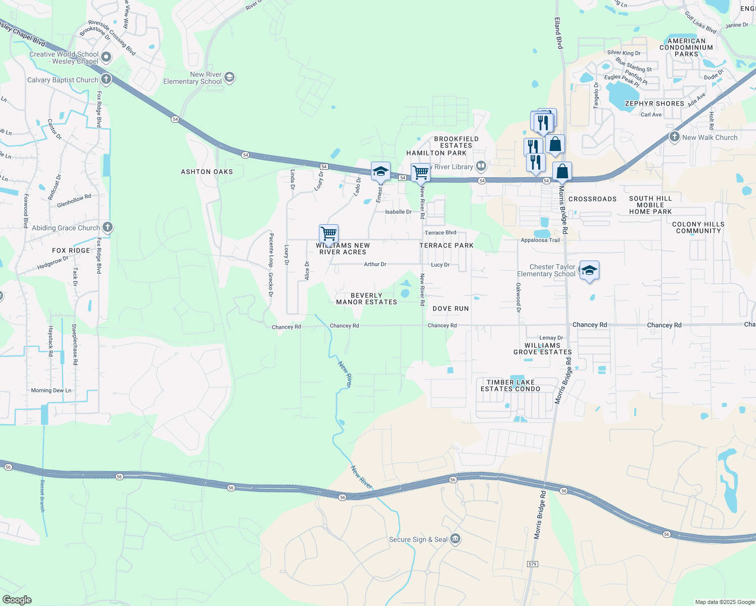 map of restaurants, bars, coffee shops, grocery stores, and more near 33514 Tammy Lane in Wesley Chapel