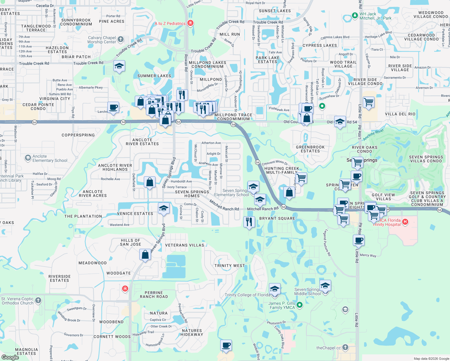 map of restaurants, bars, coffee shops, grocery stores, and more near 3451 Mexicali Street in New Port Richey