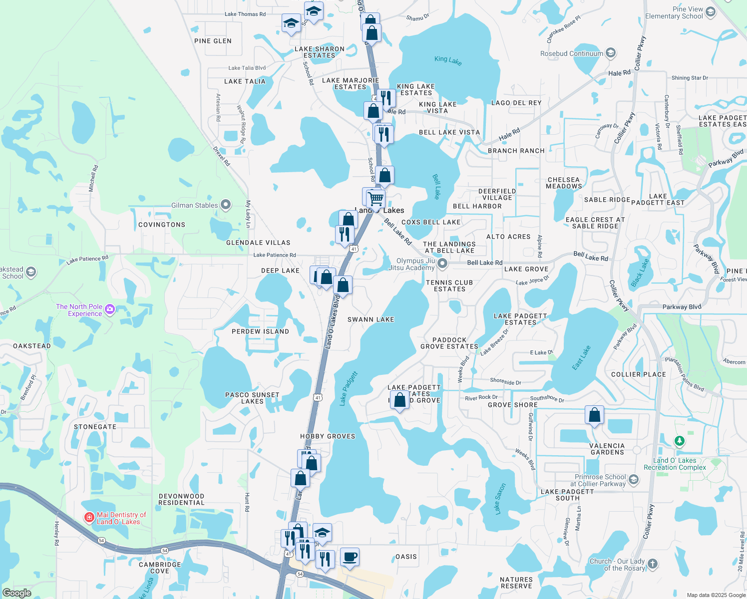 map of restaurants, bars, coffee shops, grocery stores, and more near 3740 Swans Landing Drive in Land O' Lakes
