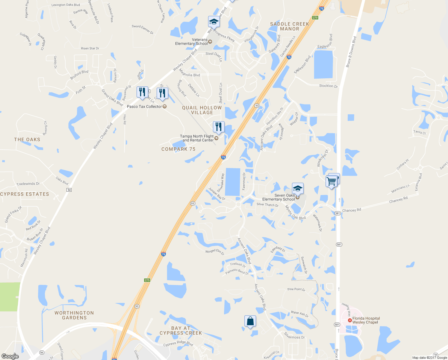 map of restaurants, bars, coffee shops, grocery stores, and more near 3840 Silverlake Way in Wesley Chapel