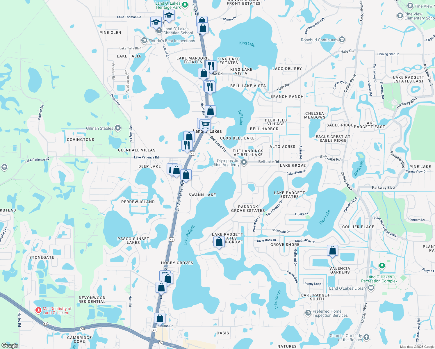 map of restaurants, bars, coffee shops, grocery stores, and more near 3840 Peninsular Drive in Land O' Lakes