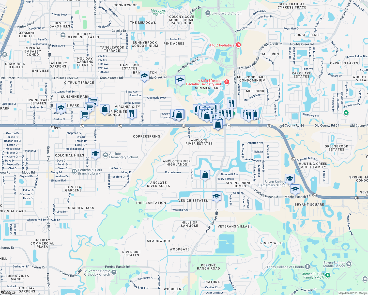 map of restaurants, bars, coffee shops, grocery stores, and more near 3752 Elfers Parkway in New Port Richey