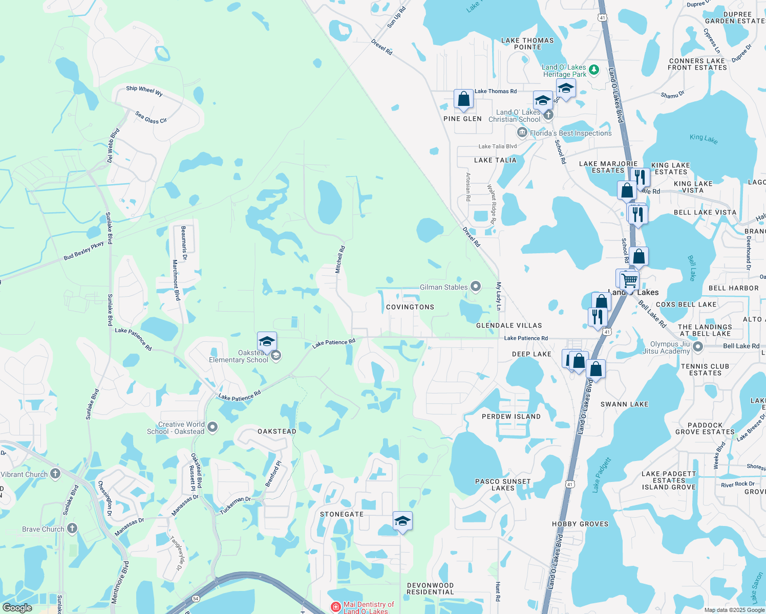 map of restaurants, bars, coffee shops, grocery stores, and more near 4121 Gerry Lane in Land O' Lakes