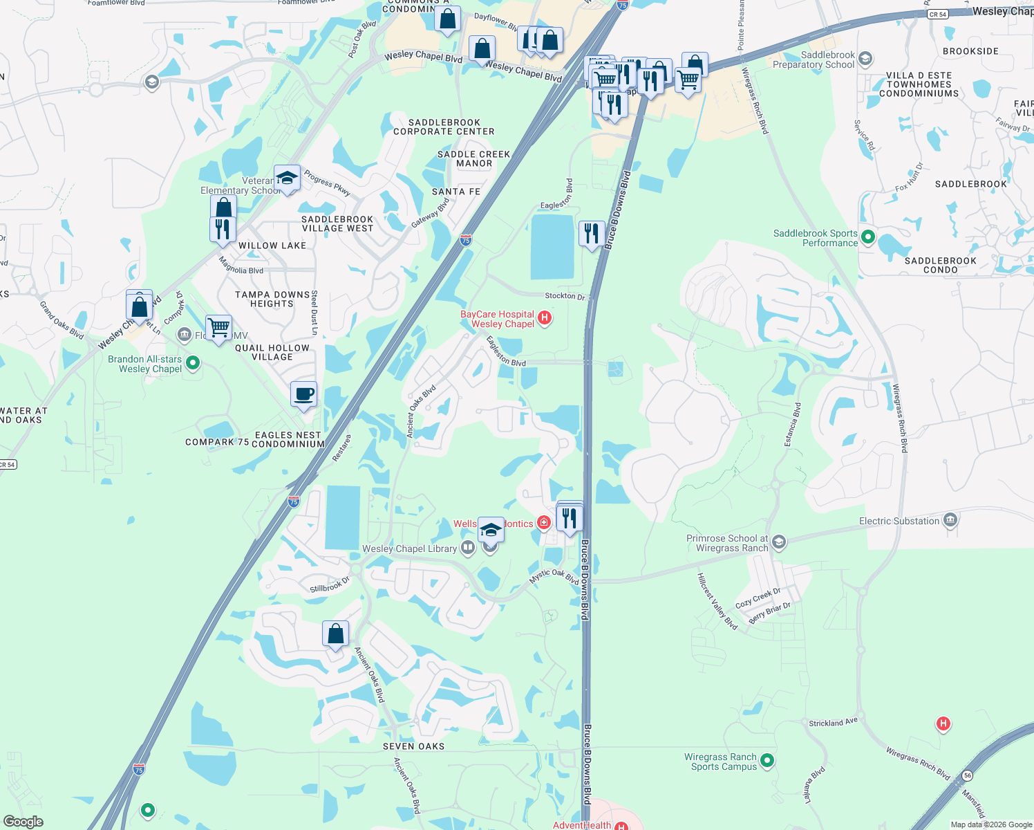 map of restaurants, bars, coffee shops, grocery stores, and more near 4228 Granite Glen Loop in Wesley Chapel