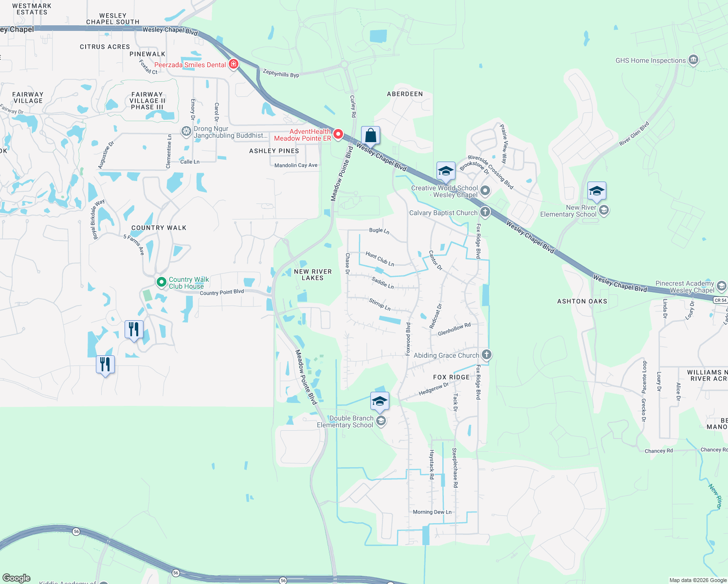 map of restaurants, bars, coffee shops, grocery stores, and more near 31439 Stirrup Lane in Wesley Chapel