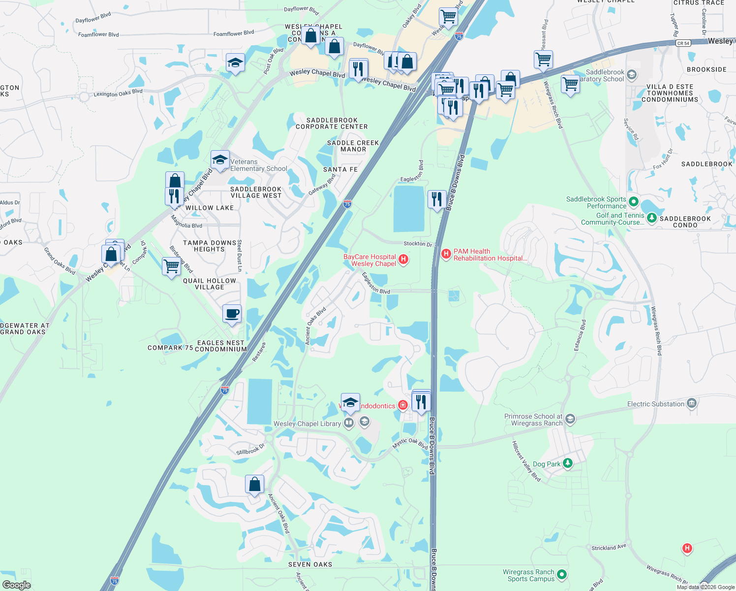 map of restaurants, bars, coffee shops, grocery stores, and more near 4338 Wildstar Cir in Wesley Chapel
