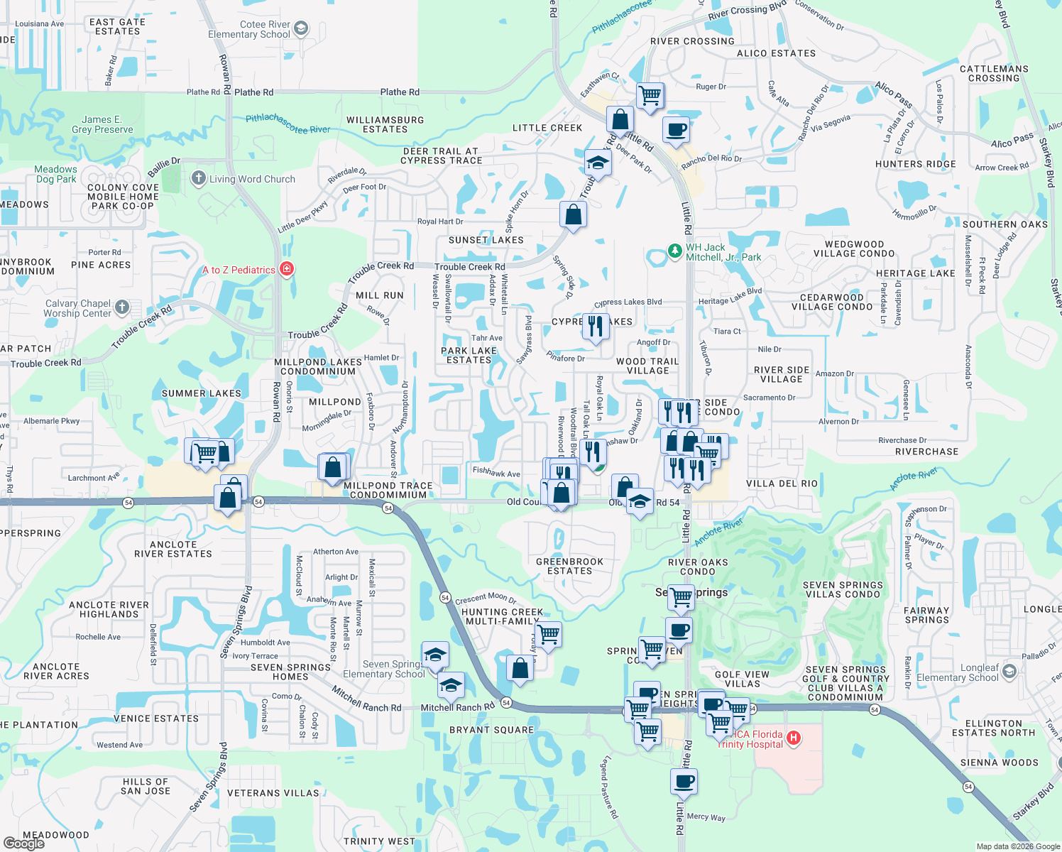 map of restaurants, bars, coffee shops, grocery stores, and more near 4239 Gray Squirrel Lane in New Port Richey