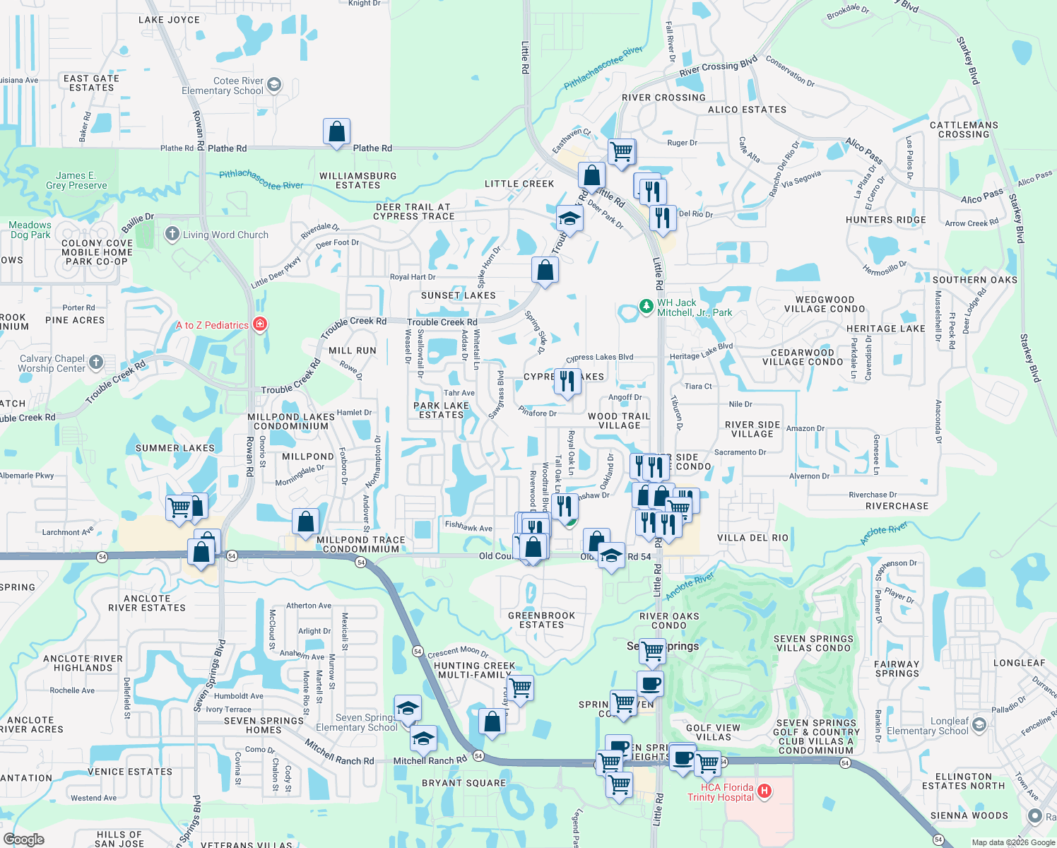 map of restaurants, bars, coffee shops, grocery stores, and more near 8513 Gum Tree Avenue in New Port Richey