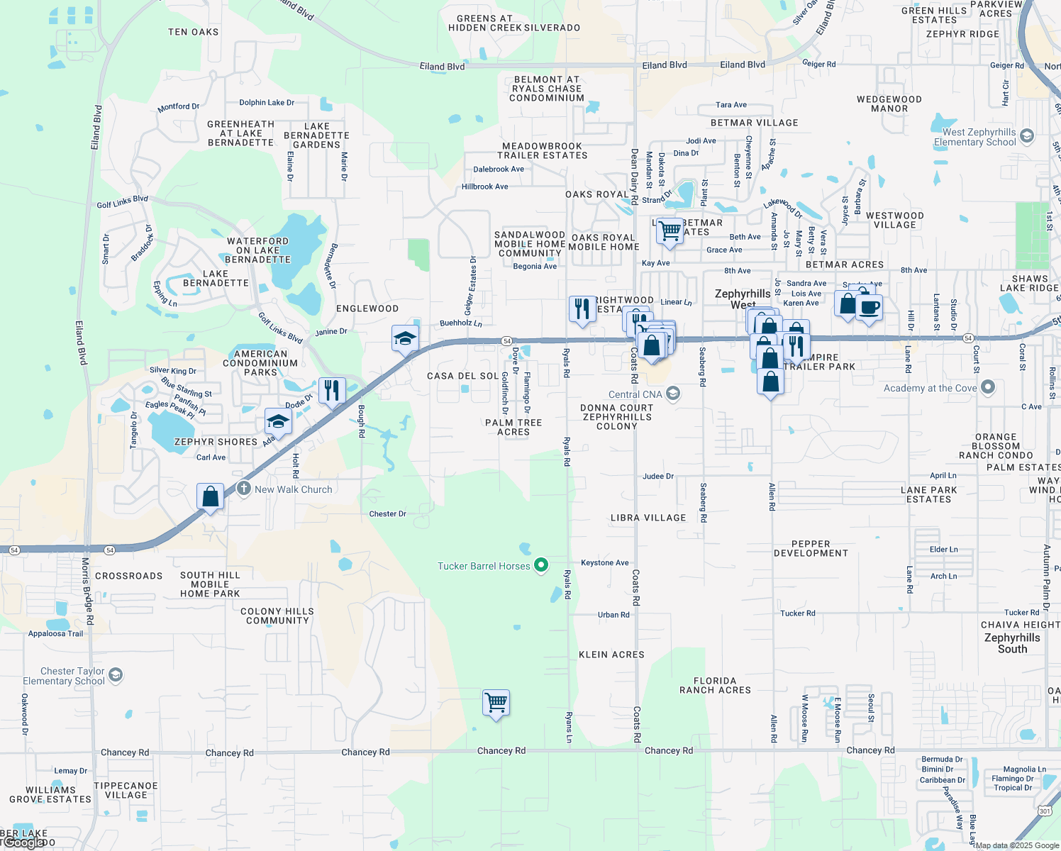 map of restaurants, bars, coffee shops, grocery stores, and more near 4648 Flamingo Drive in Zephyrhills