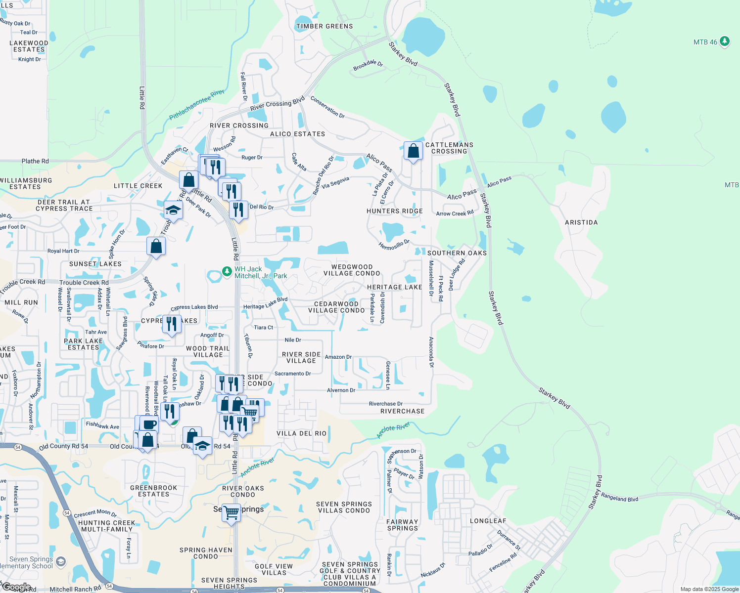 map of restaurants, bars, coffee shops, grocery stores, and more near 4747 Parkdale Lane in New Port Richey