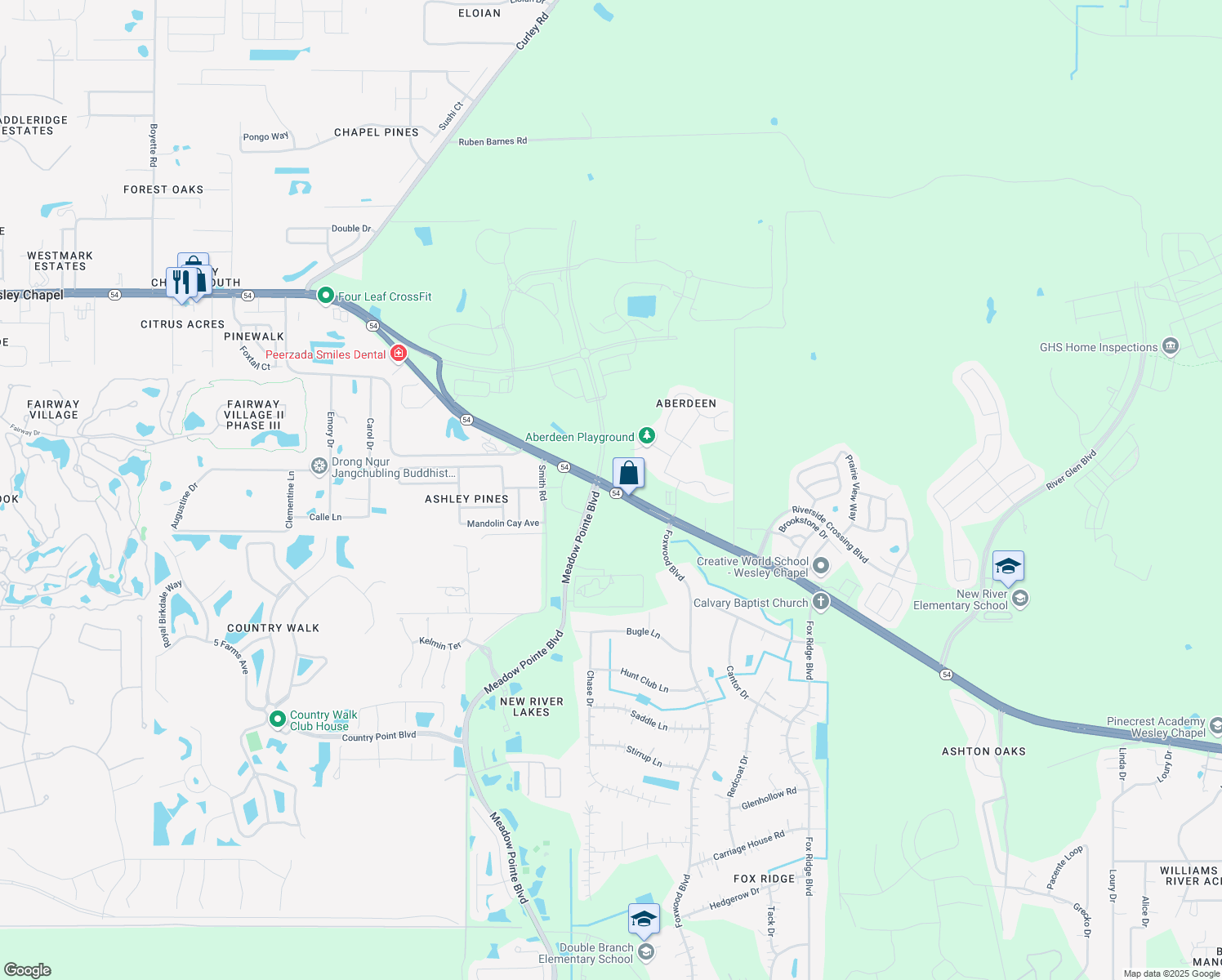 Highway 54, Wesley Chapel FL Walk Score
