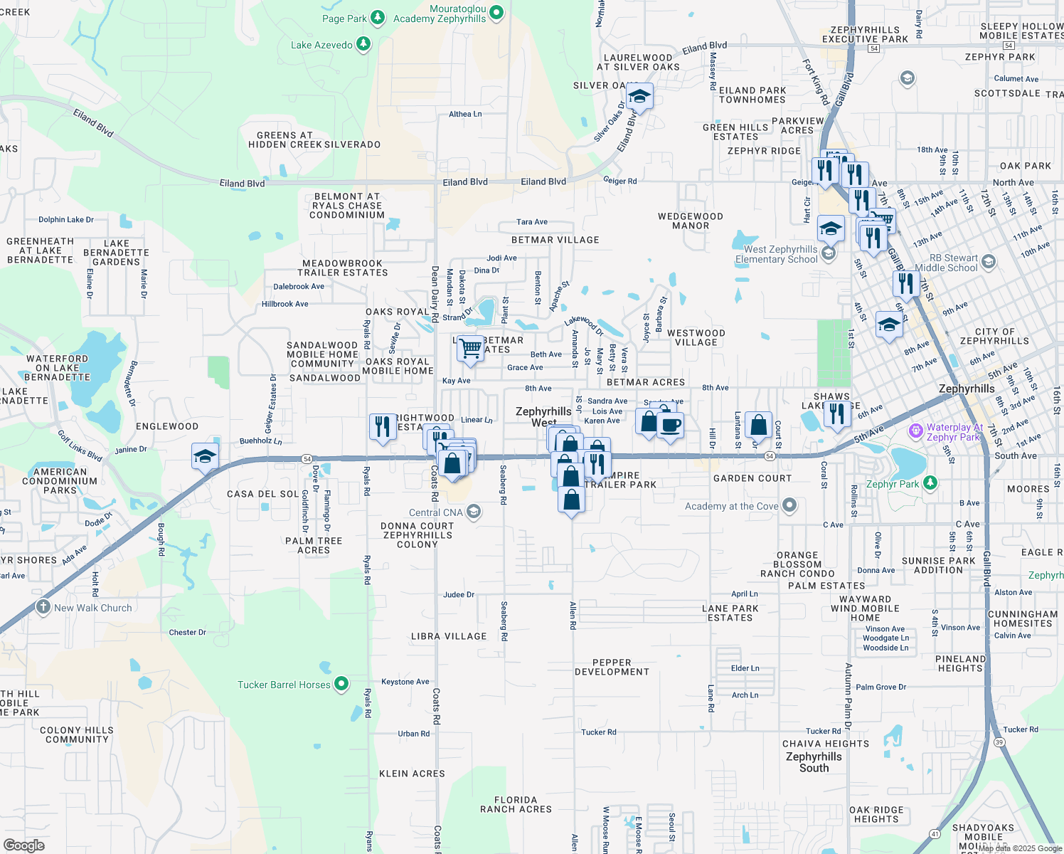 map of restaurants, bars, coffee shops, grocery stores, and more near 36828 Chestnut Lane in Zephyrhills