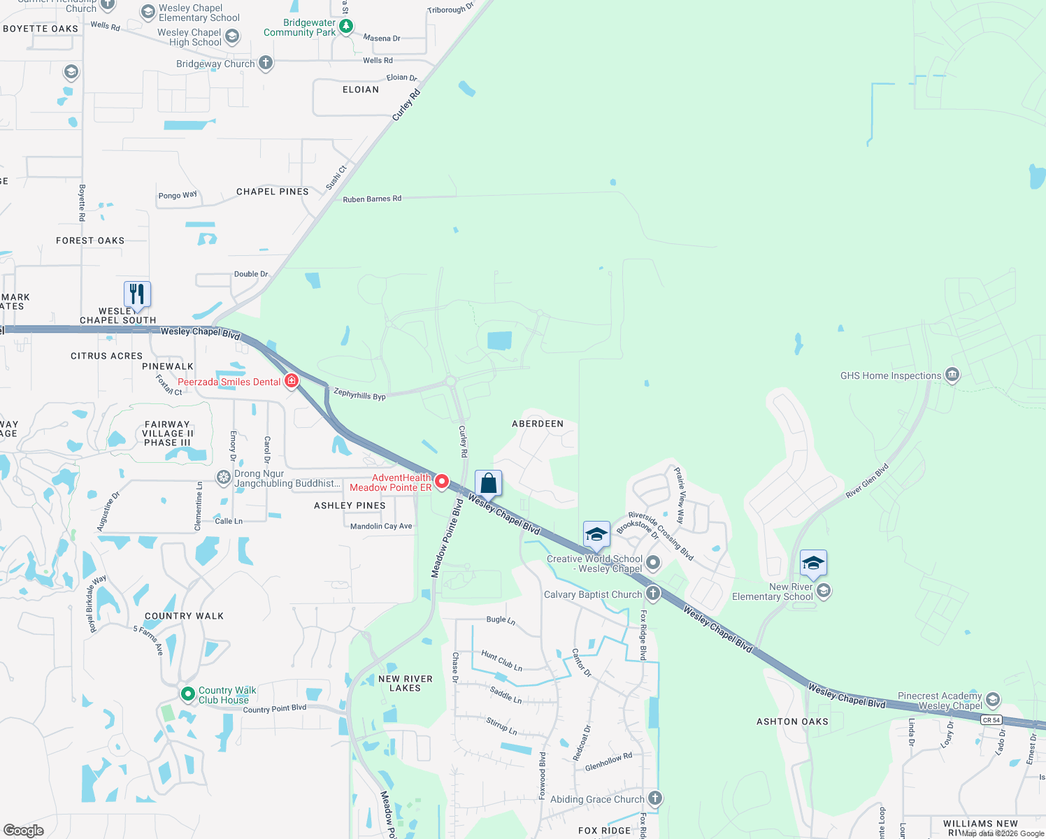 map of restaurants, bars, coffee shops, grocery stores, and more near 5410 Treig Lane in Wesley Chapel
