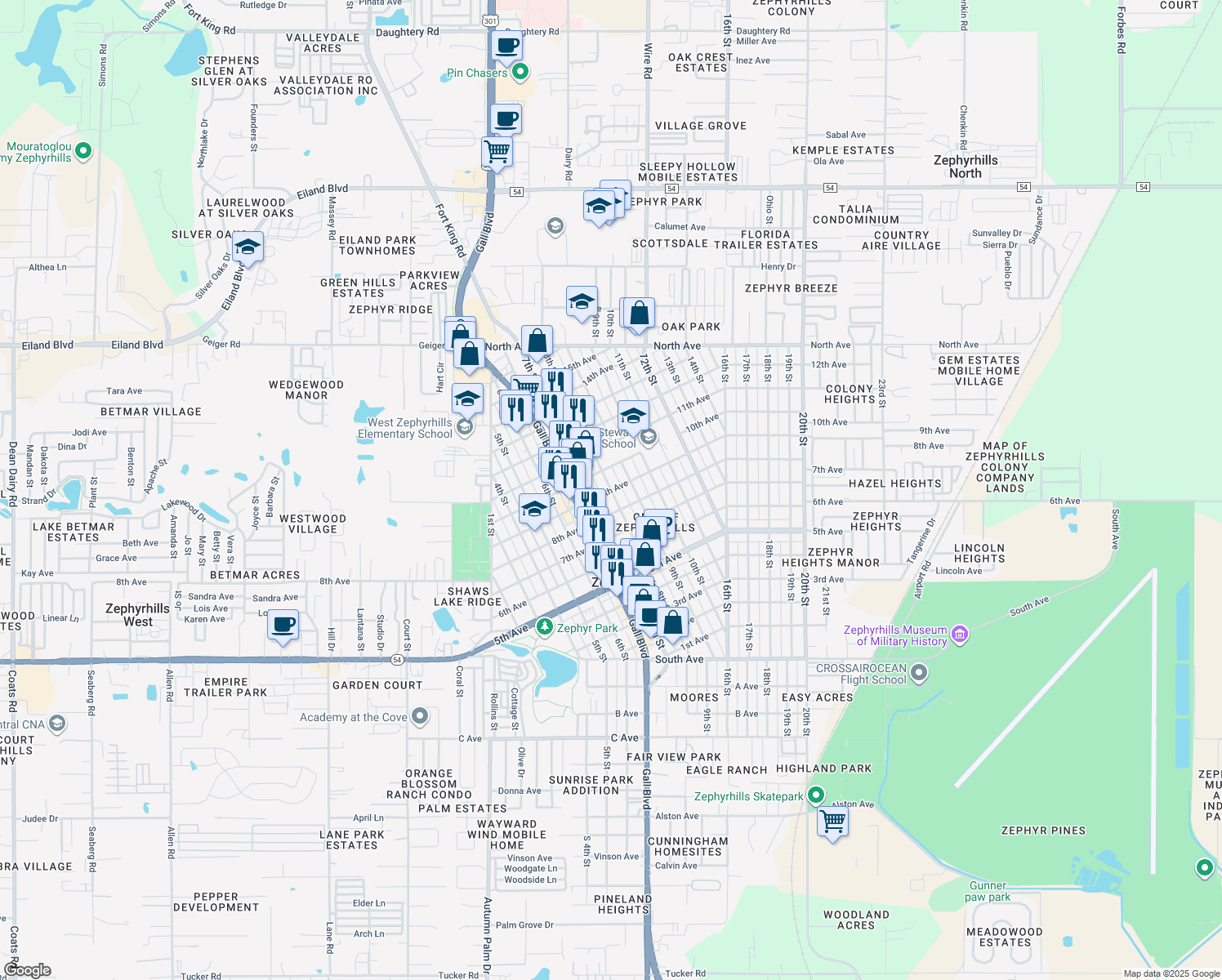 8th Street, Zephyrhills FL Walk Score