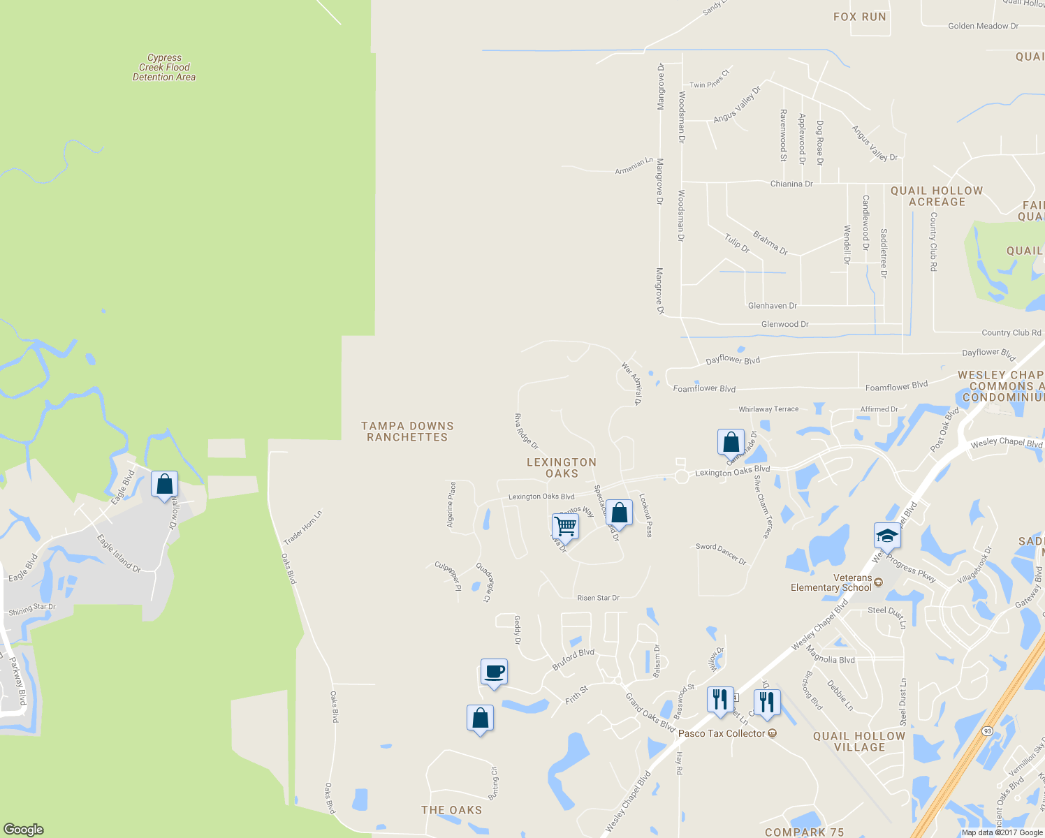 map of restaurants, bars, coffee shops, grocery stores, and more near 5722 Riva Ridge Dr in Wesley Chapel