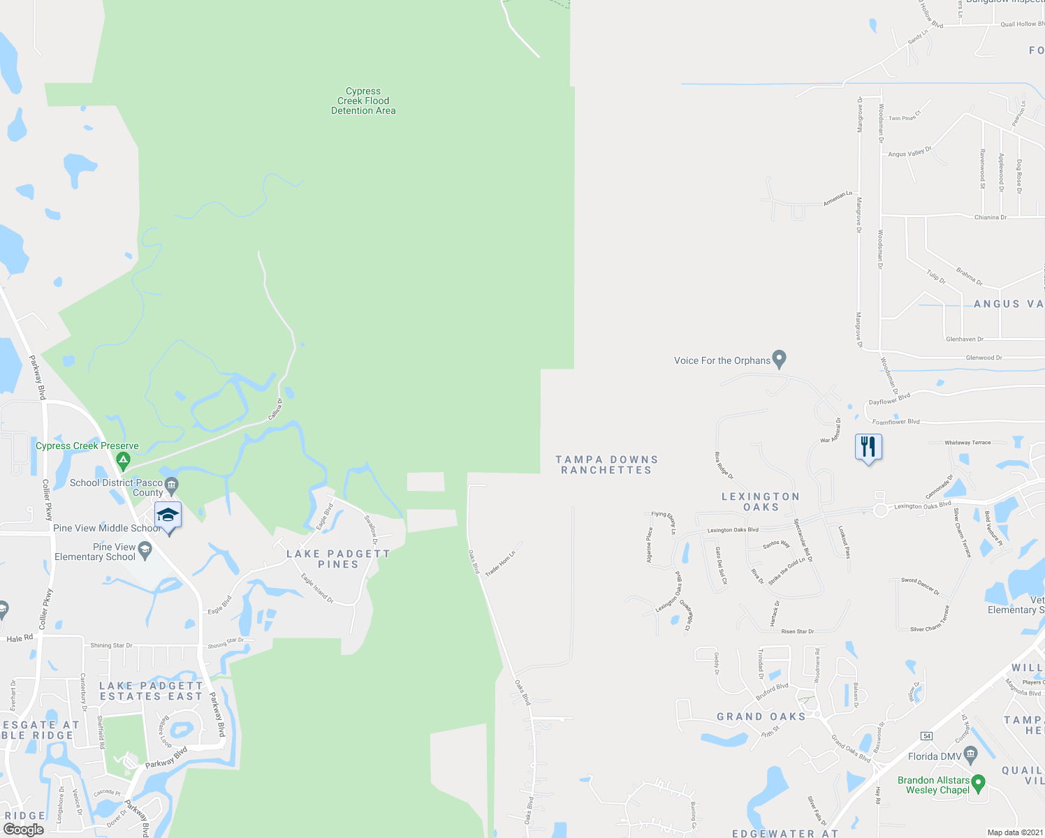 map of restaurants, bars, coffee shops, grocery stores, and more near in Pasco County