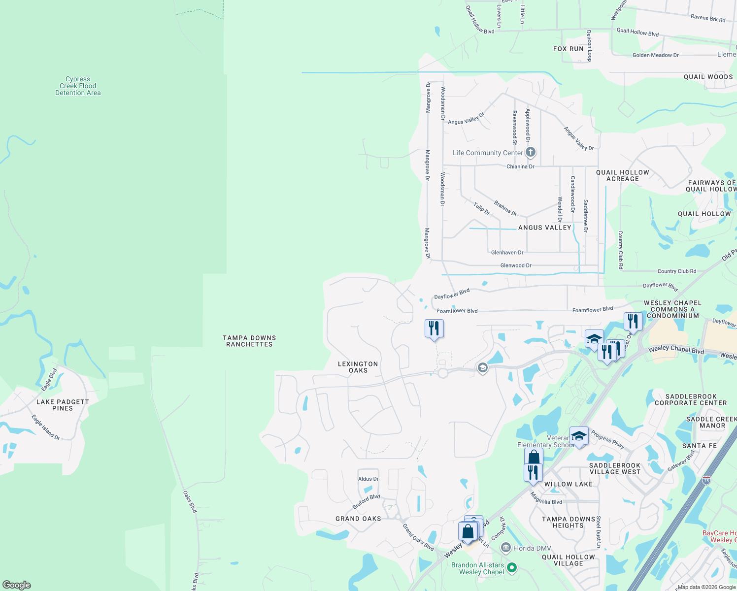 map of restaurants, bars, coffee shops, grocery stores, and more near 5856 Count Turf Lane in Wesley Chapel