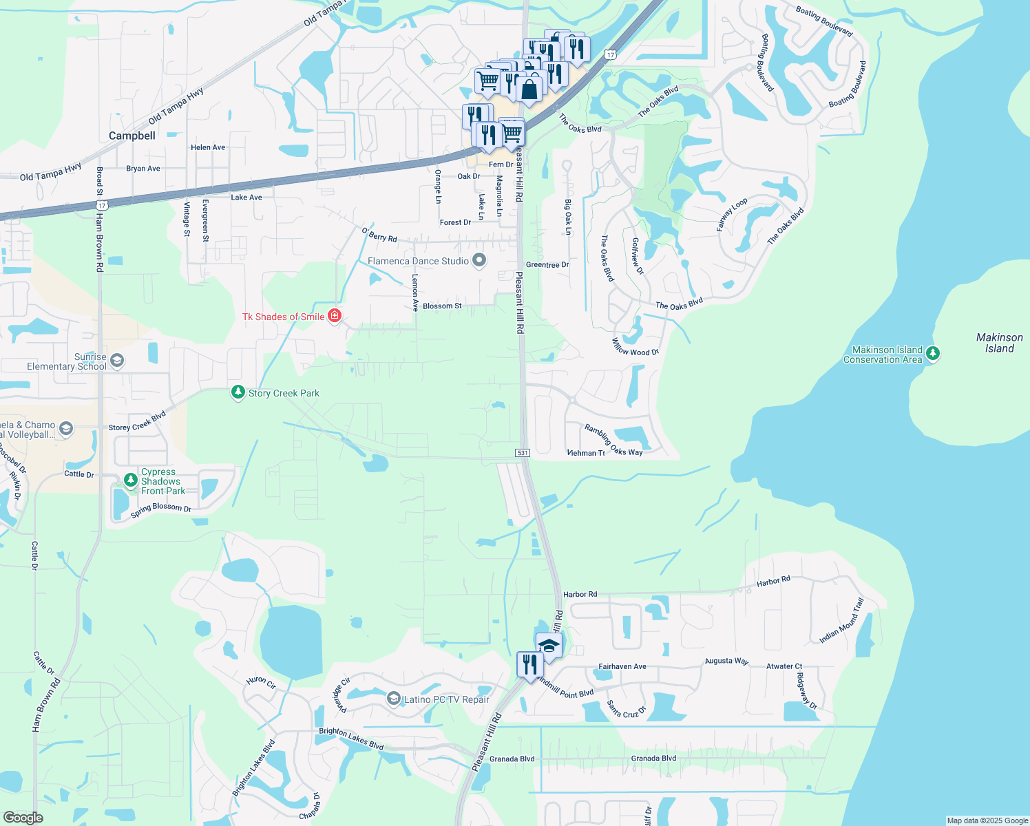 map of restaurants, bars, coffee shops, grocery stores, and more near 2207 Sylvan Ct in Kissimmee