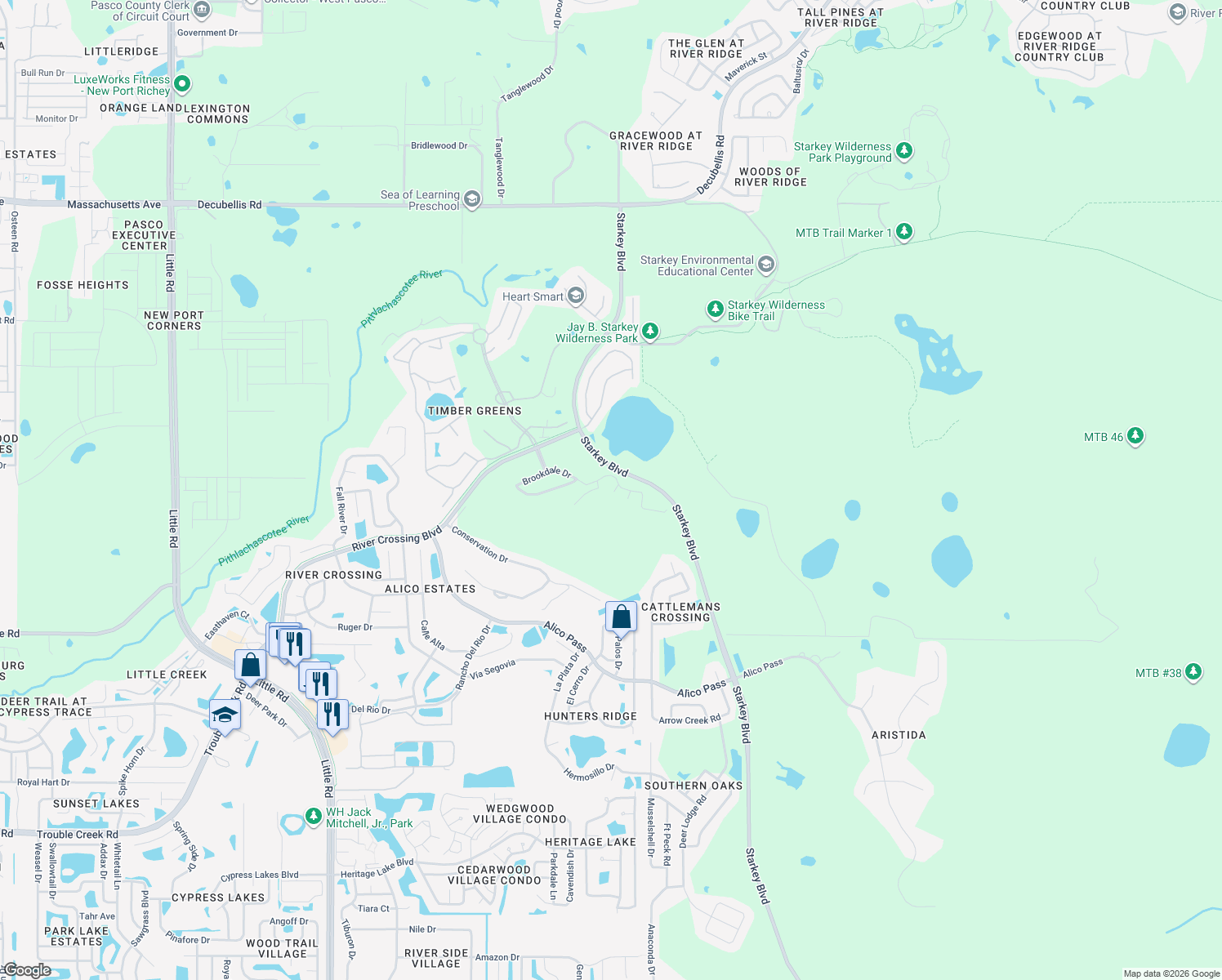 map of restaurants, bars, coffee shops, grocery stores, and more near 5931 Precious View Court in New Port Richey