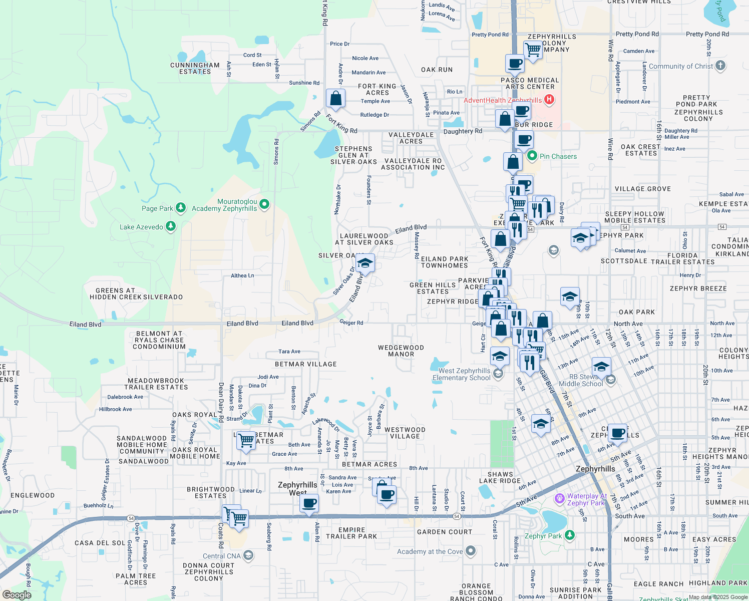 map of restaurants, bars, coffee shops, grocery stores, and more near 37245 Hannah Lane in Zephyrhills