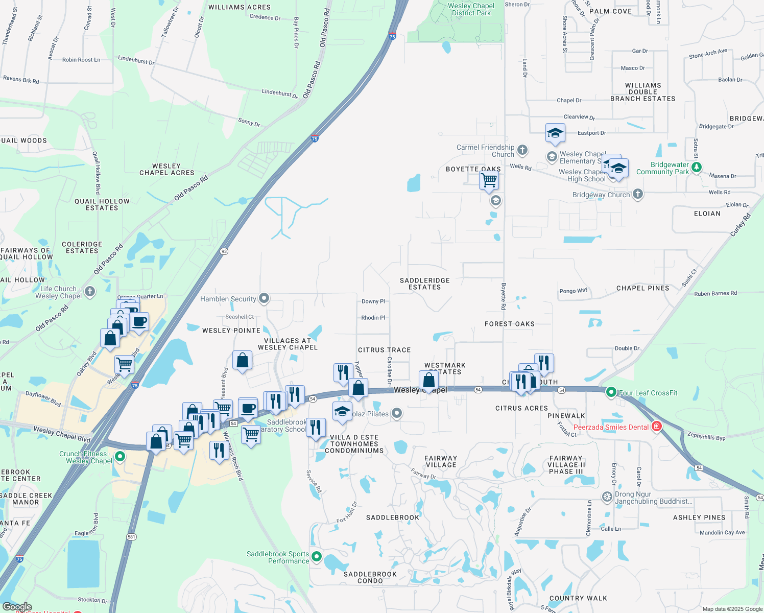 map of restaurants, bars, coffee shops, grocery stores, and more near 29340 Downy Place in Wesley Chapel