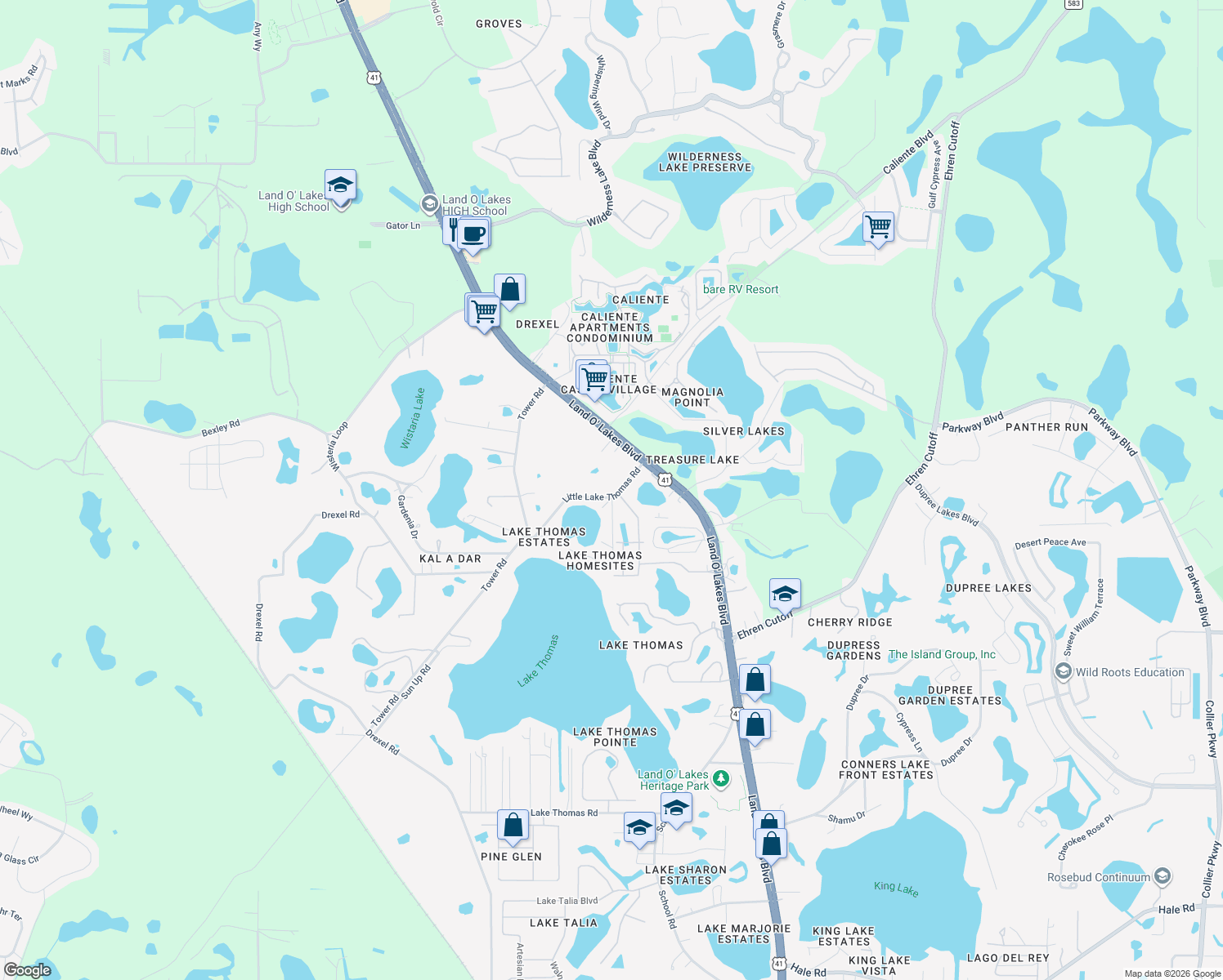 map of restaurants, bars, coffee shops, grocery stores, and more near 21121 Little Lake Thomas Road in Land O' Lakes