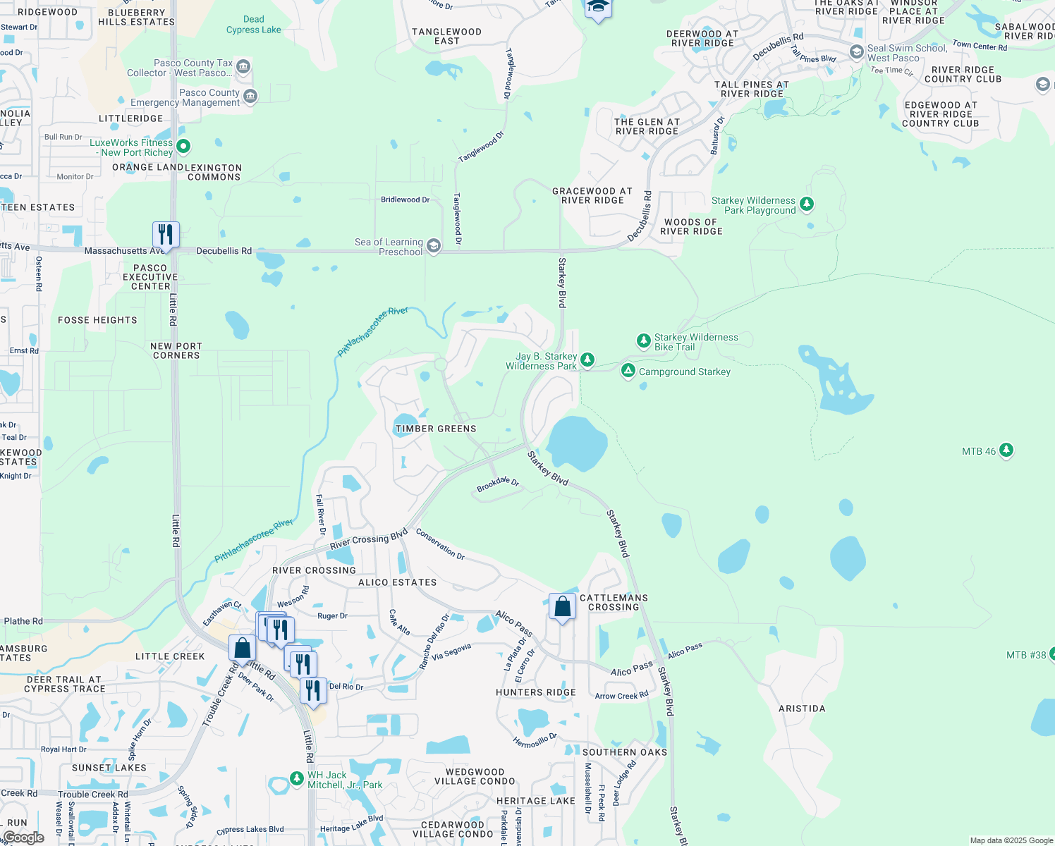 map of restaurants, bars, coffee shops, grocery stores, and more near 6233 Cardinal Crest Dr in New Port Richey