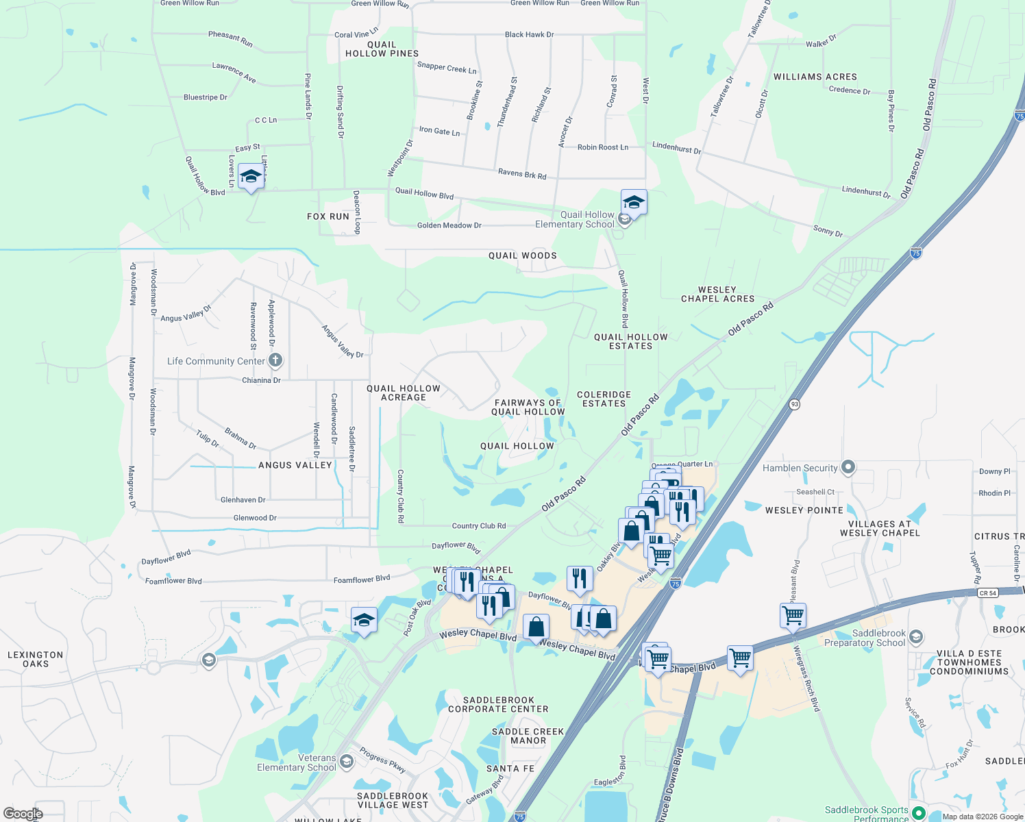 map of restaurants, bars, coffee shops, grocery stores, and more near 6431 Gentle Ben Circle in Wesley Chapel