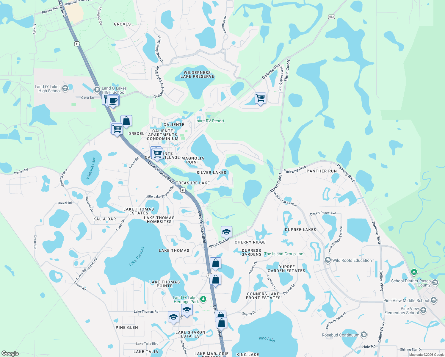 map of restaurants, bars, coffee shops, grocery stores, and more near 21633 Silver Bay Place in Land O' Lakes