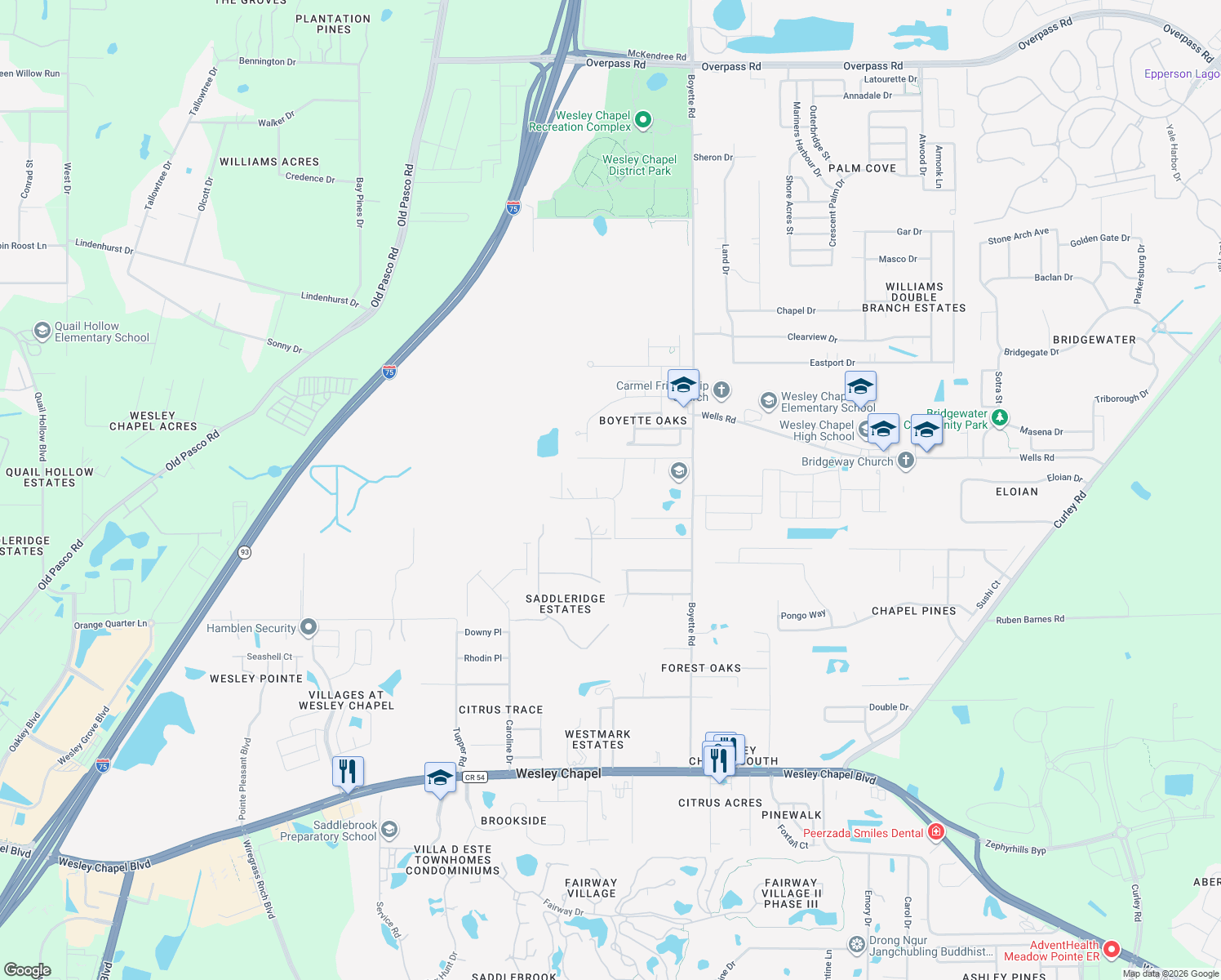 map of restaurants, bars, coffee shops, grocery stores, and more near 29723 Cooper Road in Wesley Chapel