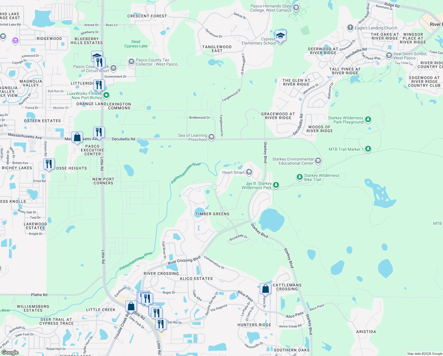 map of restaurants, bars, coffee shops, grocery stores, and more near 9533 Springmeadow Drive in New Port Richey
