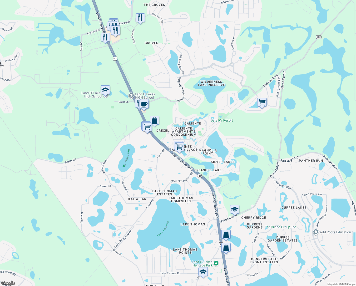 map of restaurants, bars, coffee shops, grocery stores, and more near 21034 Lirio Drive in Land O' Lakes