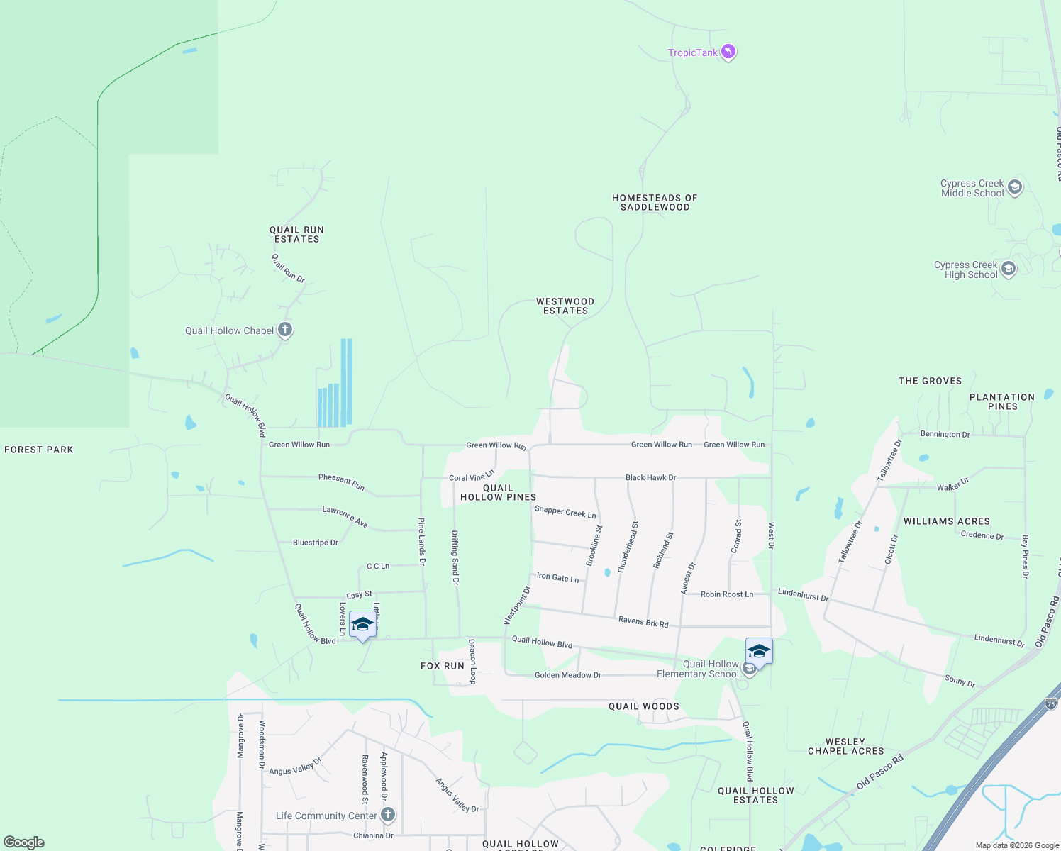 map of restaurants, bars, coffee shops, grocery stores, and more near 8001 Woodleaf Boulevard in Wesley Chapel