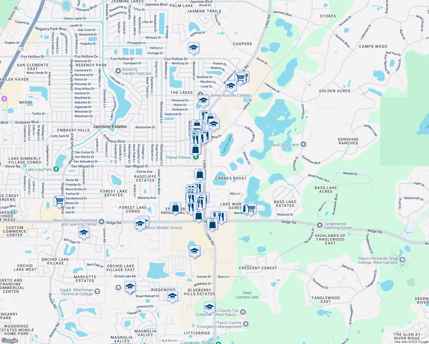 map of restaurants, bars, coffee shops, grocery stores, and more near 8924 Planters Lane in New Port Richey