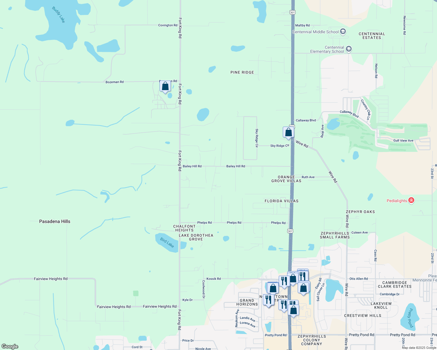 map of restaurants, bars, coffee shops, grocery stores, and more near 8918 Teacher Lane in Zephyrhills