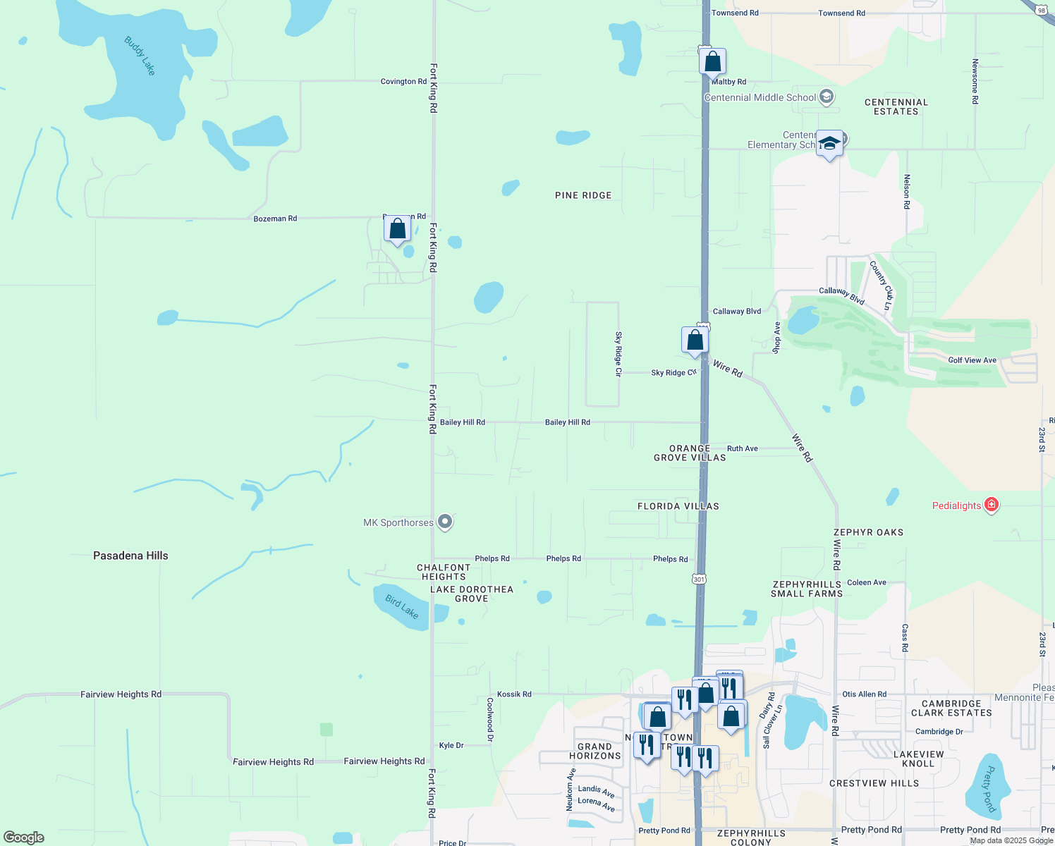 map of restaurants, bars, coffee shops, grocery stores, and more near 37320 Bailey Hill Road in Dade City