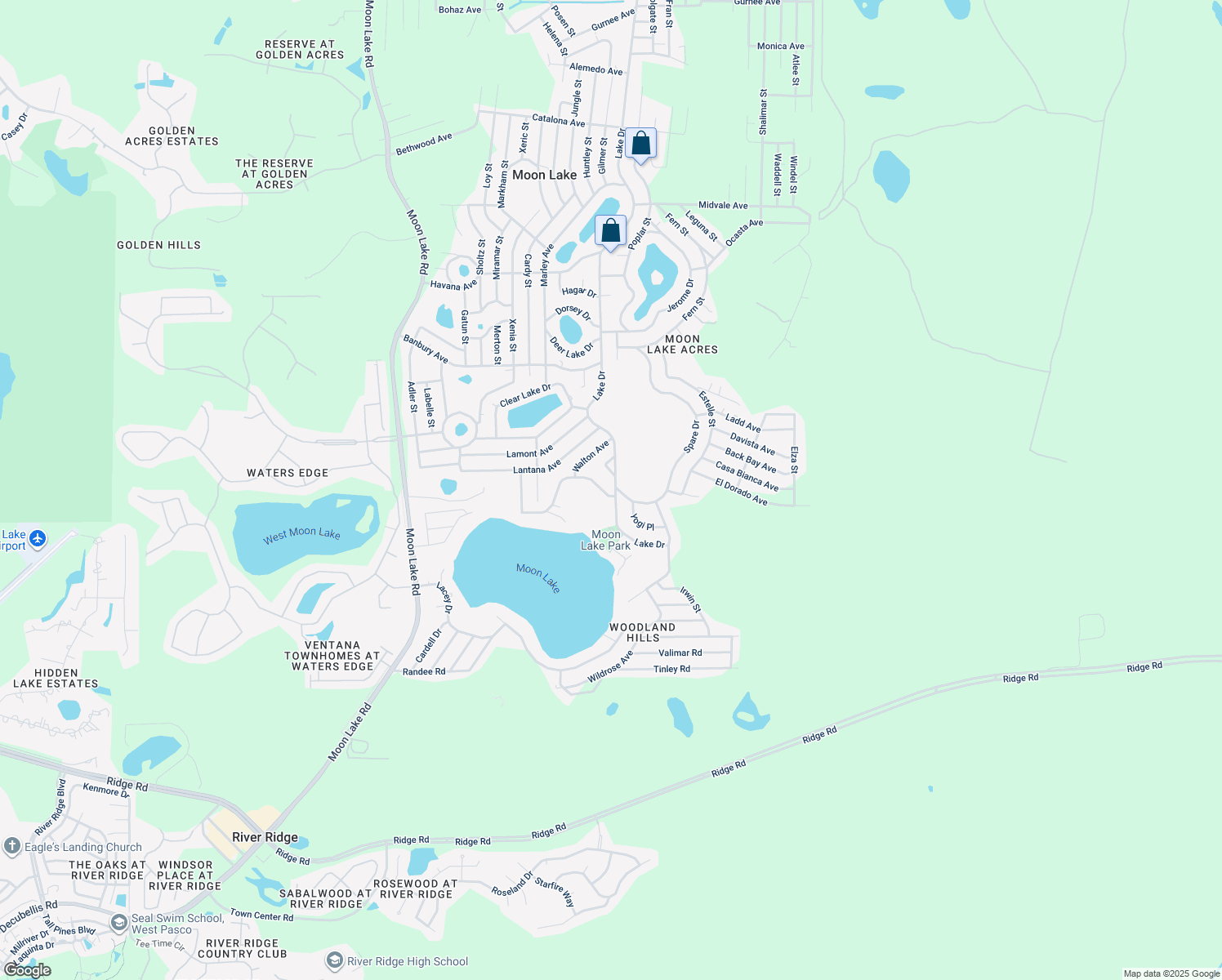 12551 Moon Lake Circle, New Port Richey FL Walk Score