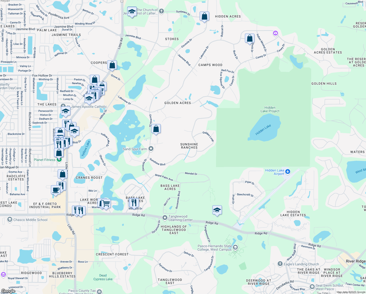 map of restaurants, bars, coffee shops, grocery stores, and more near 9125 Sunshine Boulevard in New Port Richey