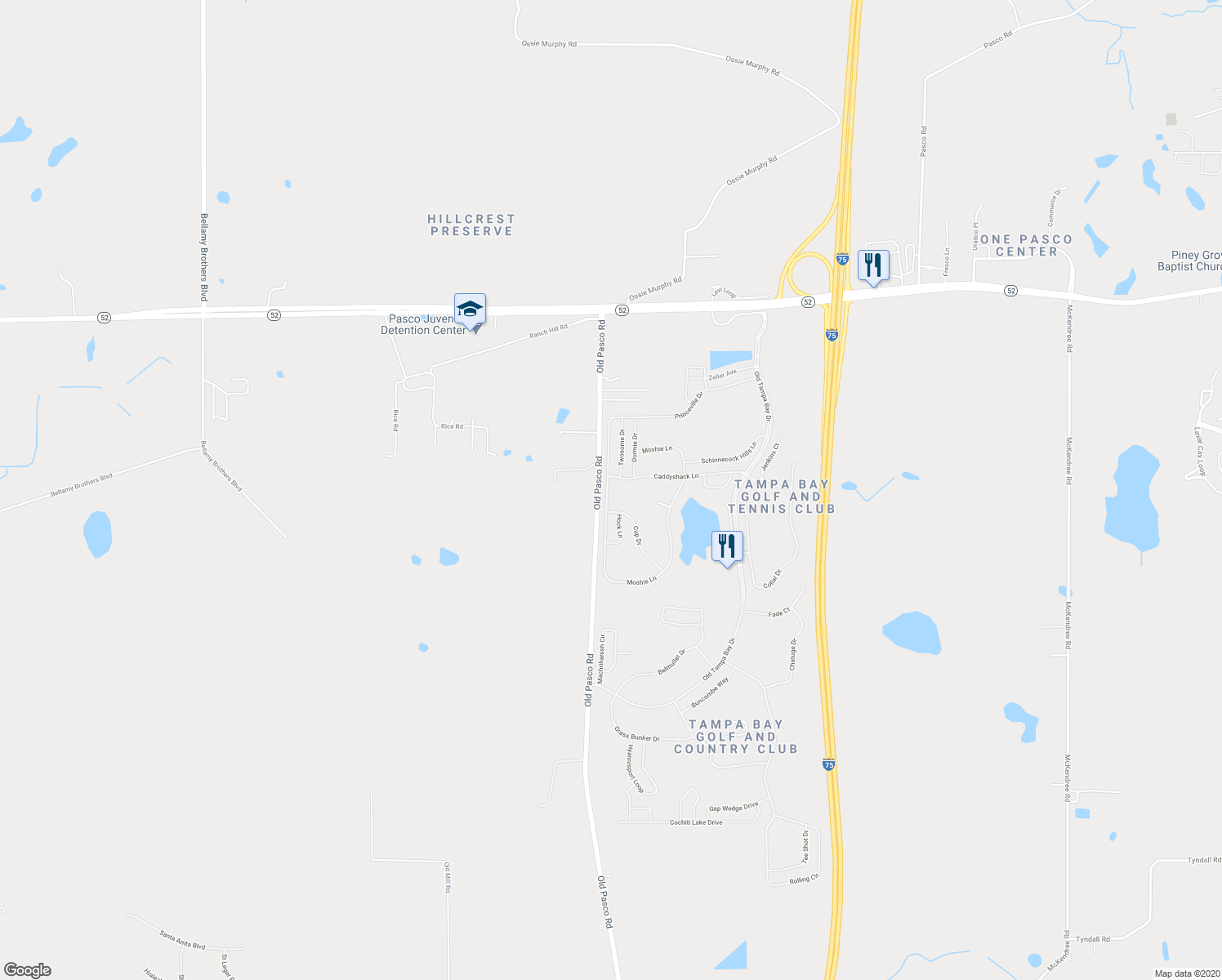 map of restaurants, bars, coffee shops, grocery stores, and more near 10251 Moshie Lane in San Antonio