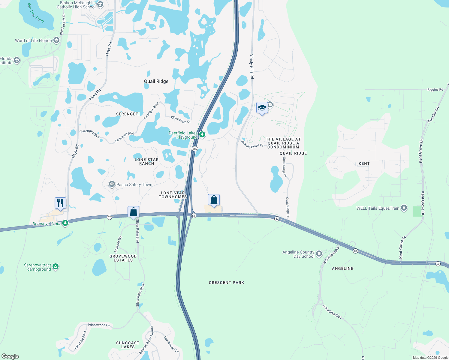 map of restaurants, bars, coffee shops, grocery stores, and more near 12207 Shady Hills Road in Spring Hill