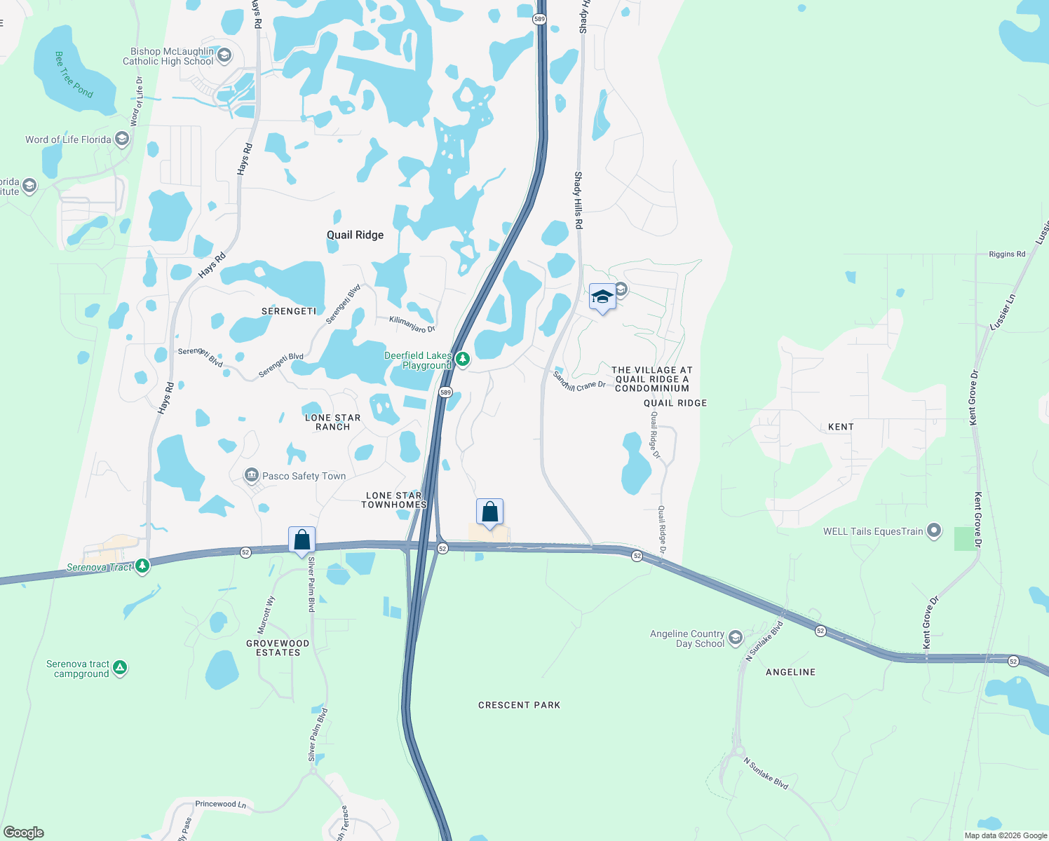 map of restaurants, bars, coffee shops, grocery stores, and more near 12321 Shady Hills Rd in Spring Hill