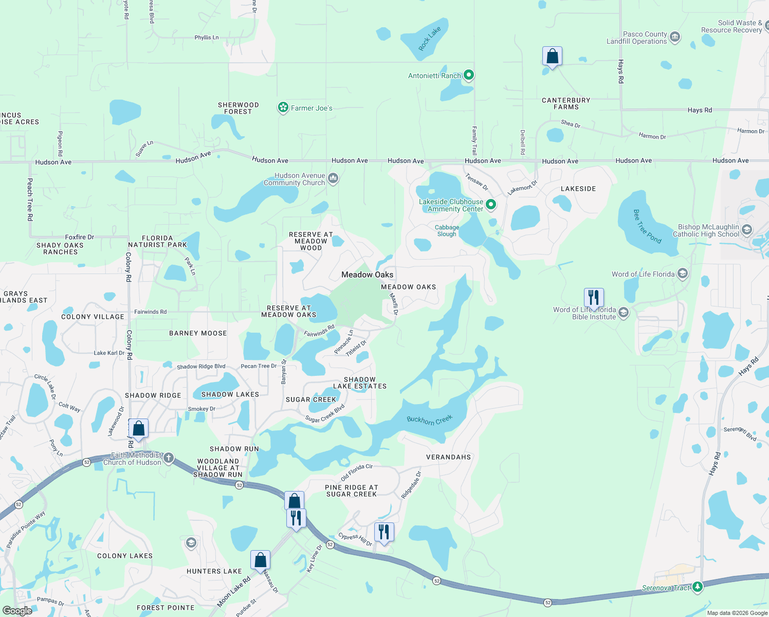 map of restaurants, bars, coffee shops, grocery stores, and more near 13227 Molitor Ct in Hudson