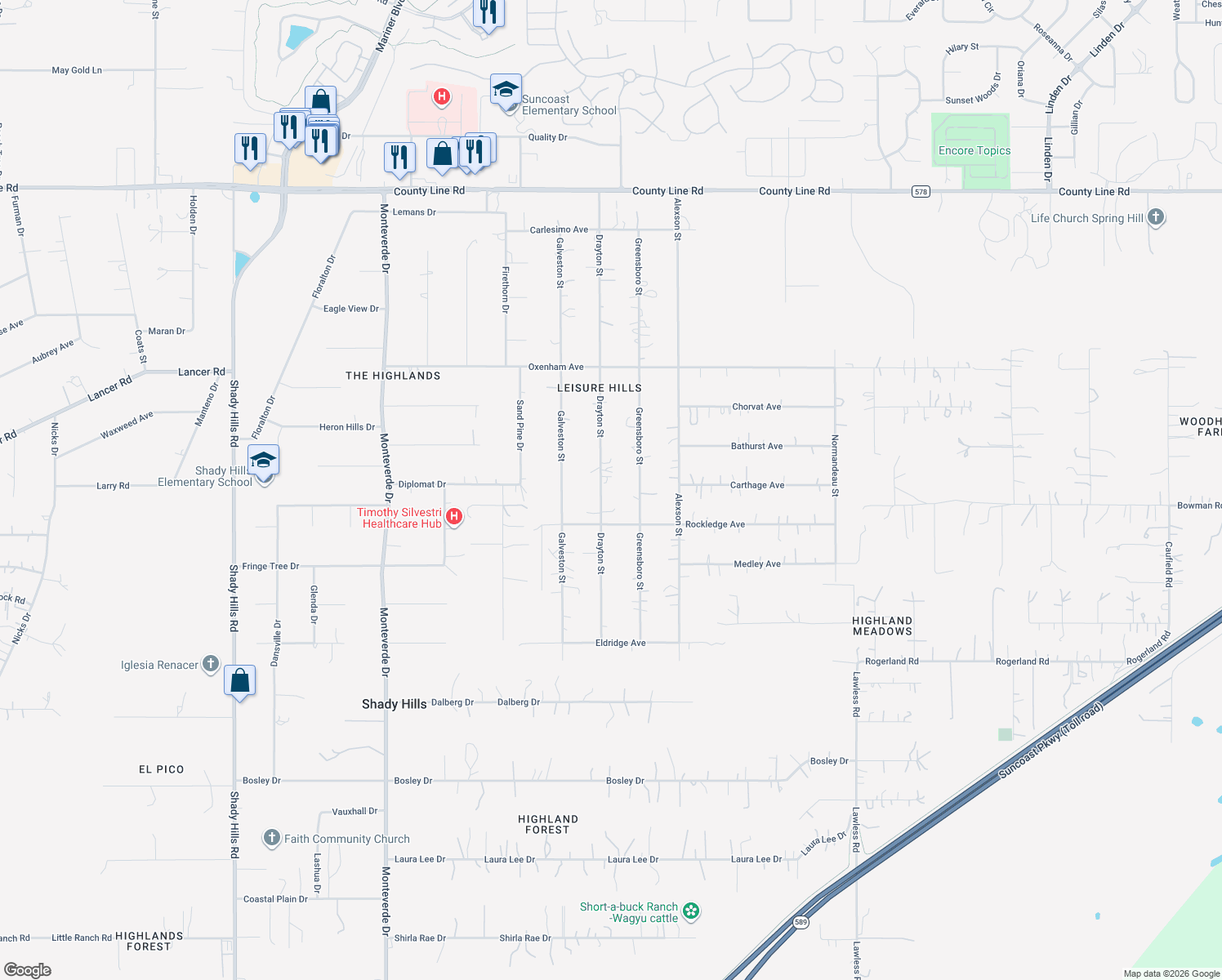 map of restaurants, bars, coffee shops, grocery stores, and more near 18024 Drayton Street in Spring Hill
