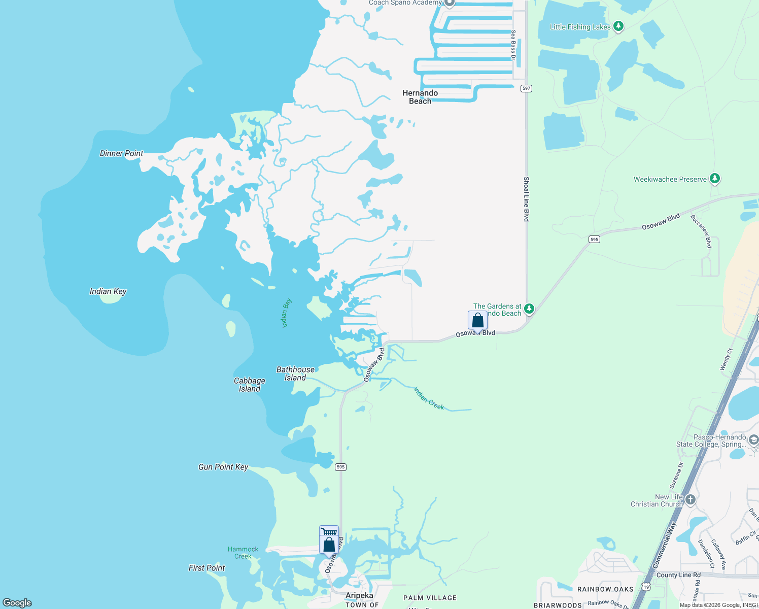 map of restaurants, bars, coffee shops, grocery stores, and more near 3217 Shine Lane in Spring Hill