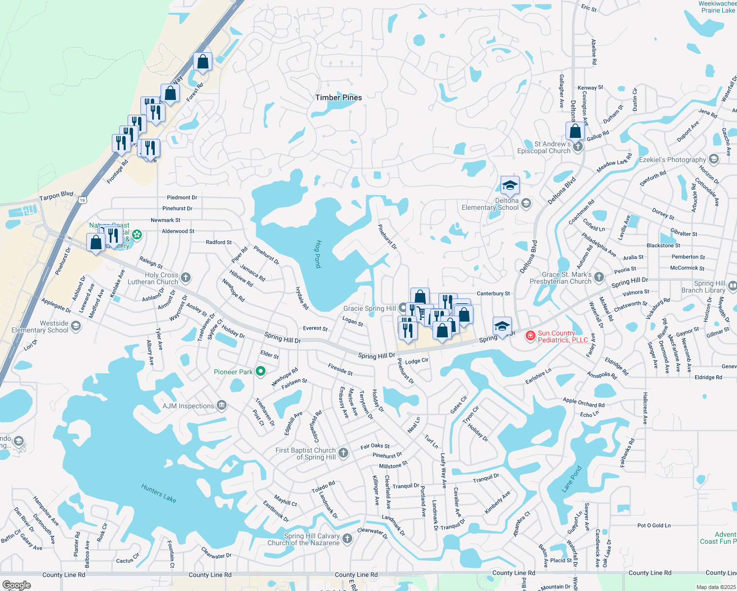 map of restaurants, bars, coffee shops, grocery stores, and more near 1356 Salem Court in Spring Hill
