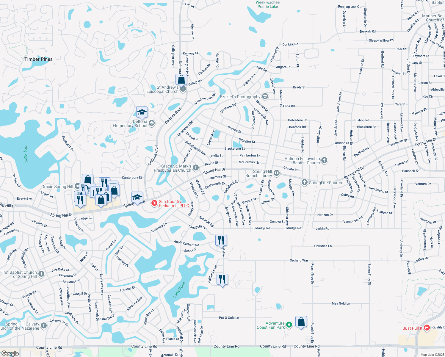 map of restaurants, bars, coffee shops, grocery stores, and more near 8432 Valmora Street in Spring Hill